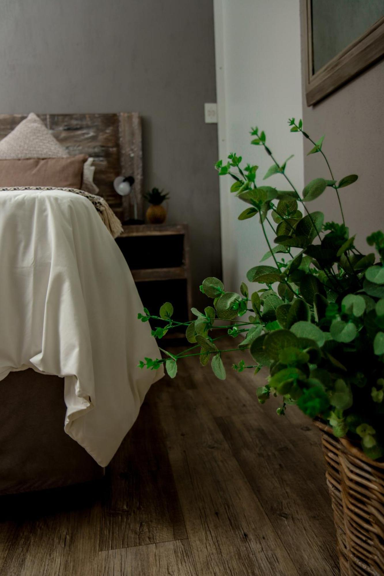 Nine On Uys Street B & B Jeffreys Bay Luaran gambar